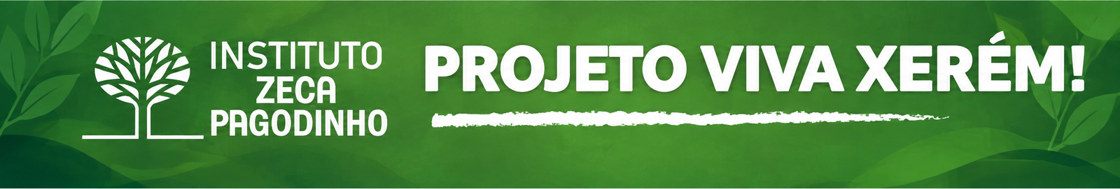 Instituto Zeca Pagodinho · Projeto Viva Xerém